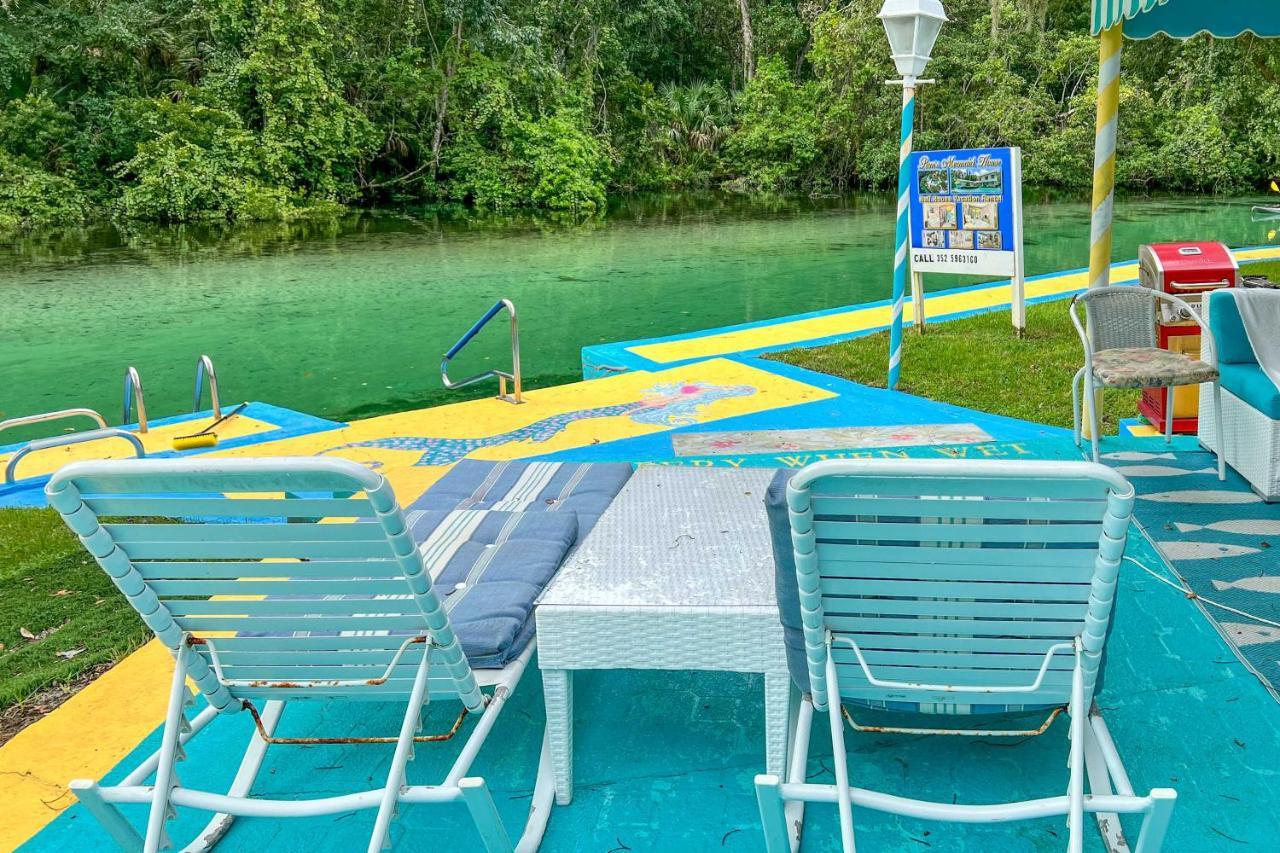 Pams Mermaid House With Riverfront Yard And Lanai! Apartment Weeki Wachee Exterior foto
